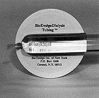 wpe22283.gif (42146 bytes)