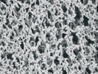 Nylon Membrane Filter