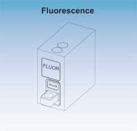 Fluorescence
