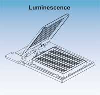 Luminescence