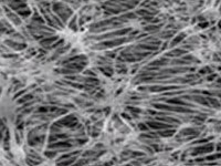 PES Membrane Filter