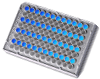 96-well Microplate