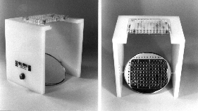 wpe30270.gif (47212 bytes)